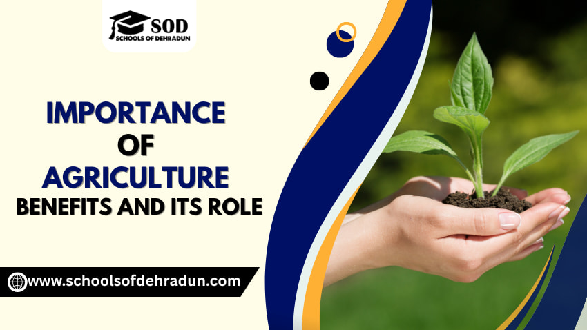 Importance of Agriculture - Benefits and Its Role