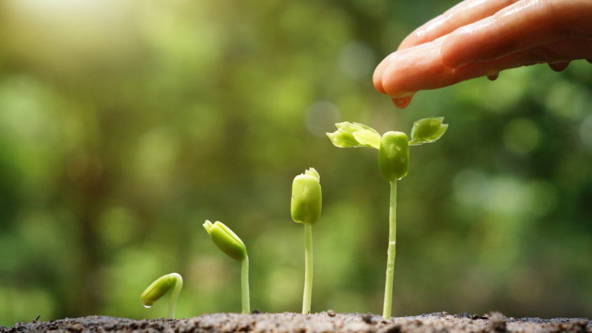 Importance of Agriculture