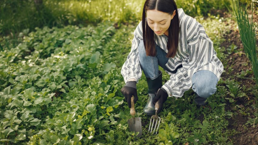 Types of Agriculture