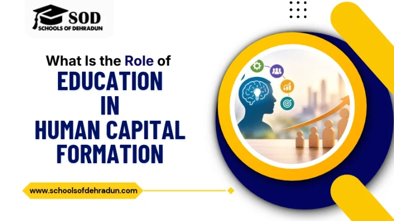 What Is the Role of Education in Human Capital Formation_