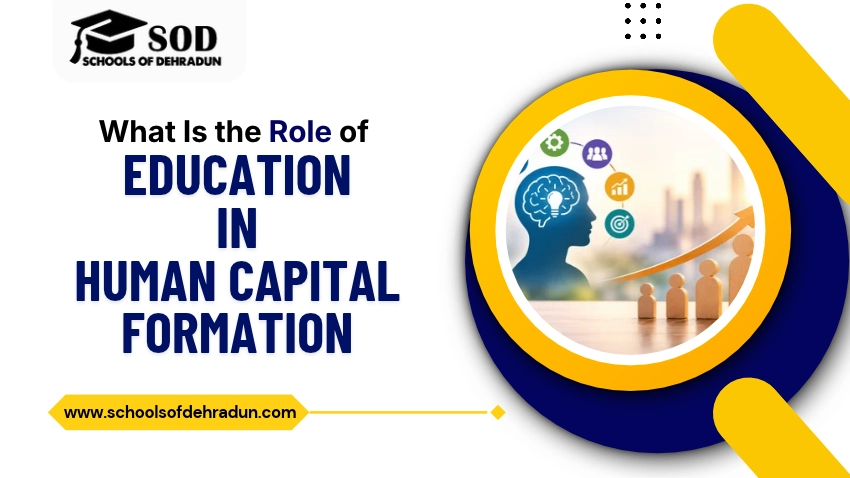 What Is the Role of Education in Human Capital Formation_