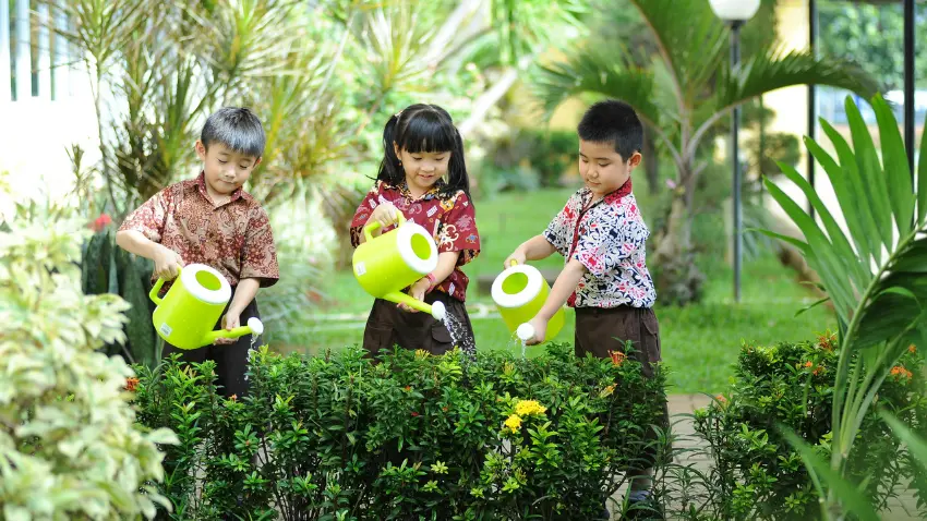 Why Is Nature-Based Learning Important for School Students